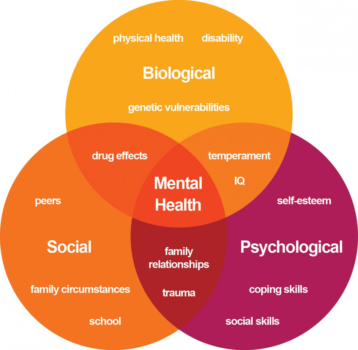 how-does-stress-affect-your-cholesterol-blackmores-club